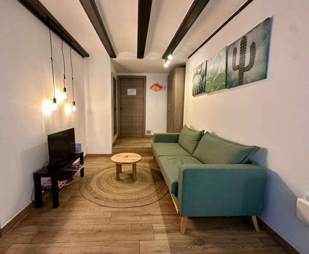 BR SPP6-0 - apartamento vacacional en Botànic, Valencia - Bluerooms