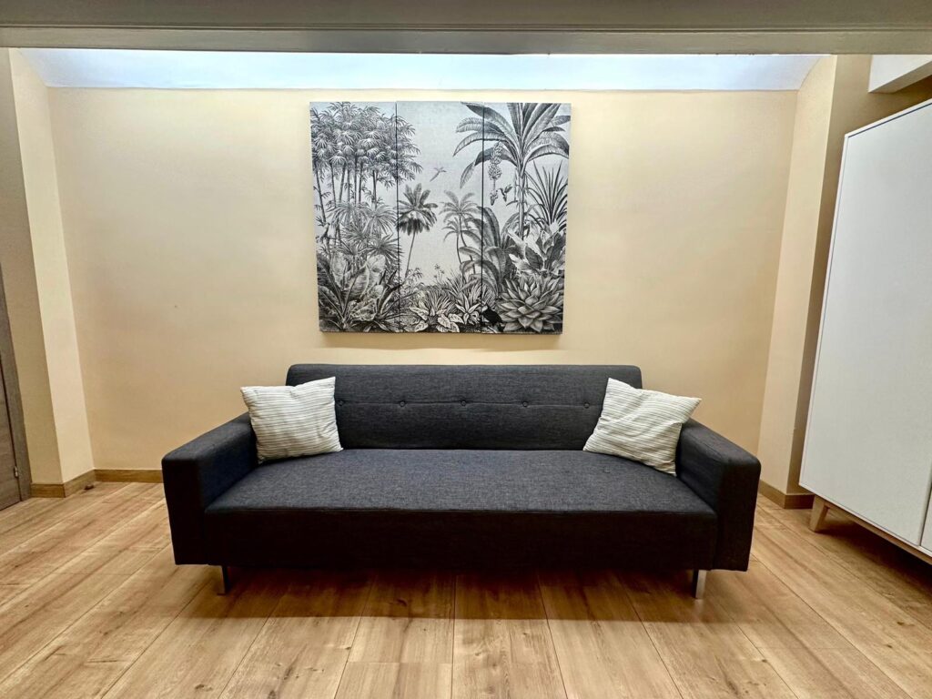 BR SPP6-1 - apartamento vacacional en Botànic, Valencia - Bluerooms