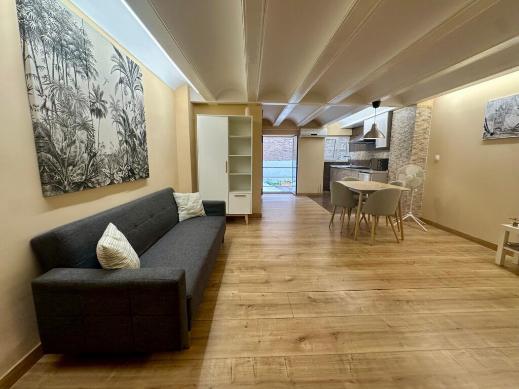 BR SPP6-1 - apartamento vacacional en Botànic, Valencia - Bluerooms