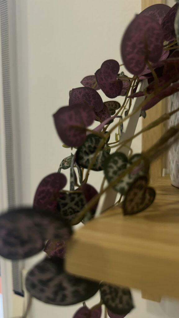 BR M3 H1 - habitación coliving en Ciutat Vella, Valencia - Bluerooms